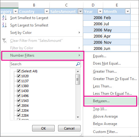 How to Filter Data in Microsoft Excel or Spreadsheet
