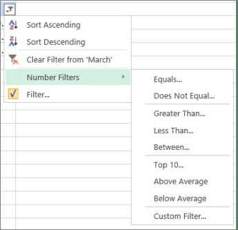 How to Filter your Data in Microsoft Excel or Spreadsheet